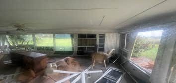 Renovation Work Can your contractor fix this? ??
Carney for sure can, WE are so excited to be back on our Cape Coral foreclosure game!