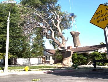 Photos by California Green Tree Care #1