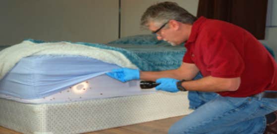 Unitech Pest and Termite Services