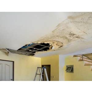 Photos by Lucky Duck plumbing LLC #1