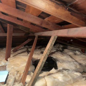Golden Touch Attic Insulation