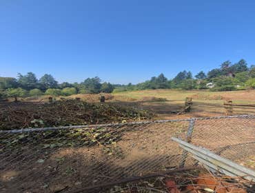 Photos by Brightday Landscaping LLC #1