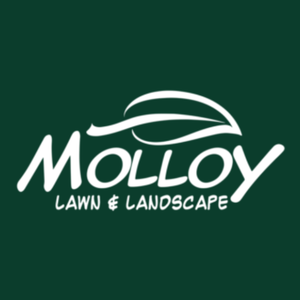 Photos by Molloy Lawn & Landscape #1