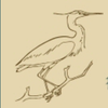 Windolf Construction, Inc logo