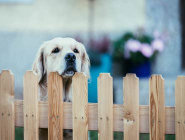 Photos by Id Fence Company #1