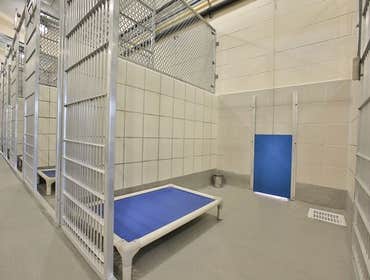 Animal Defense League Kennel Project