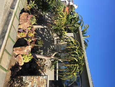 Del Mar