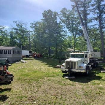 Brooke Tree Co