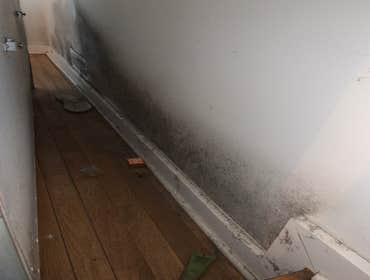 Photos by Southern Restoration & Rebuild #1