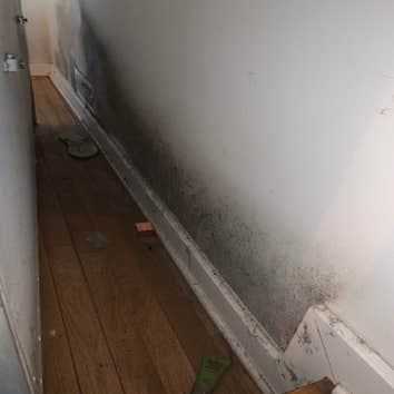 Photos by Southern Restoration & Rebuild #1