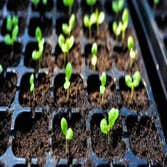 Highland Grove Landscaping & Farm