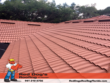 Photos by Red dog's Roofing of Florida #1
