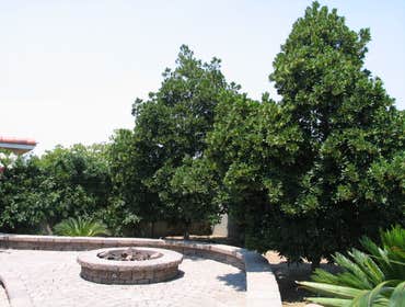 Tech-Noir Landscapes, Inc. Photos This display shows an array of fire pits, water features, and barbeques that add that special touch. Hard scape photo