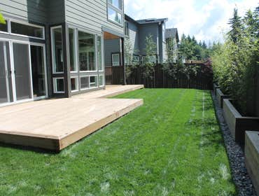 Backyard Redesign