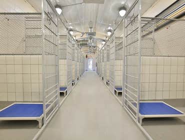 Animal Defense League Kennel Project