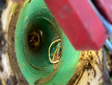Pipelining in Tampa, FL