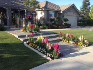 Photos from Nick Martin Landscape Service