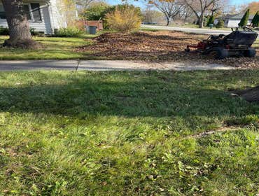Photos by an Lopez´s Landscaping #7
