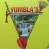 Yumblas Landscape & Construction LLC logo
