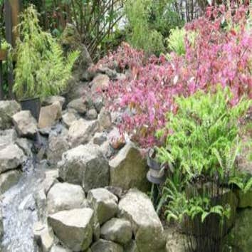 Ecological Design Working with nature to enhance our surroundings