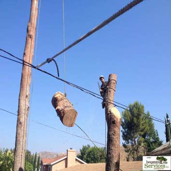 OCHOA TREE SERVICE Project 1