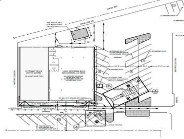 Photos by Raymundo F Reyes General Contractor #1