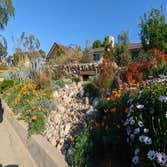 Grand Terrace California Natives Landscape After