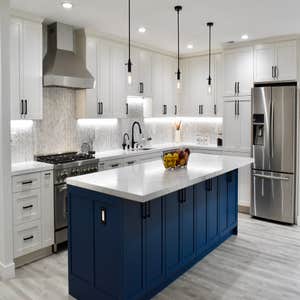 Full house renovation - San Jose