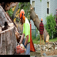 Photos by Eh Landscaping & Masory LLC #1