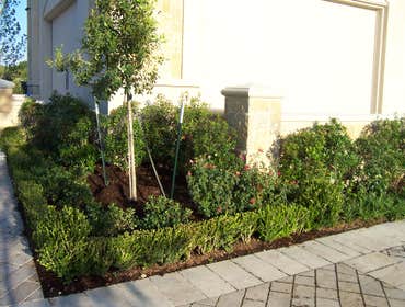 Residential&Commercial Landscapes Fire Station 13 Landscape & Stone Work!!
High End Residential Landscape over 3000 plants!!