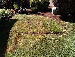 Photo(s) from Roth Heating & Cooling
