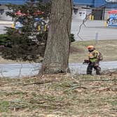 Photos by No Heights Tree Service #1
