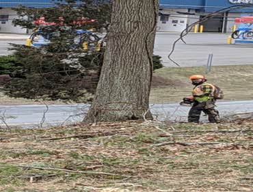 Photos by No Heights Tree Service #1