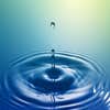 Gutter/leader Water Management logo