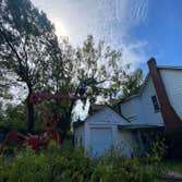 Backwoods Tree Service
