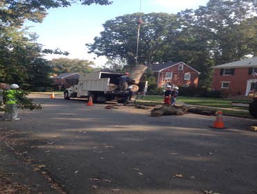 Photo(s) from Bonilla Tree Service Inc