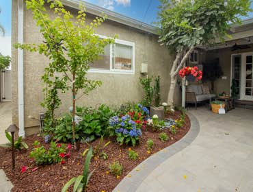 New Pavers & Plants