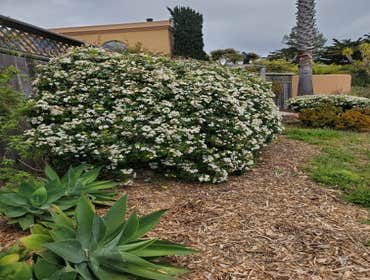 Photos by Tuyub Landscaping #28