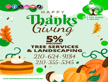Photos by JOE'S Tree Service and Landscaping #5