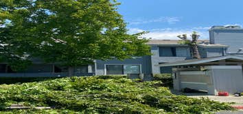 Photos by Jose Marin Tree Service #2