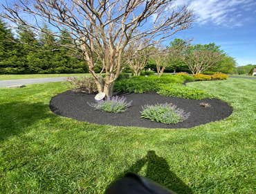 Photos by Sg Gonzalez Landscaping & Maintenance LLC #1