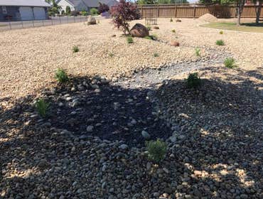 Photos by Morfins Tree Trim & Landscape #1