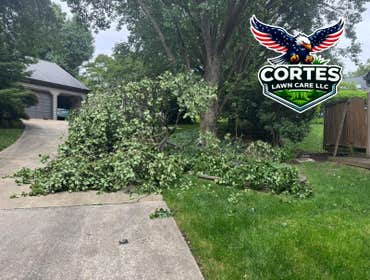 Photos by Cortes Lawn Care LLC #1