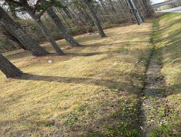 Photos by Beauty Meister Landscaping LLC #2