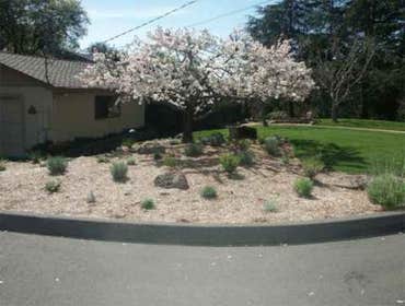 wine country stone and landscape design by quiet elegance