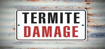 Photos by Evergreen City Termite Removal Experts #2
