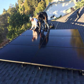 True Renewable Energy Inc