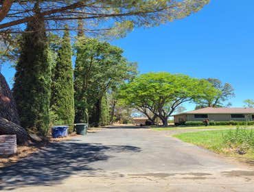 Photos by Navarro Tree Service Inc #10