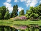 Photos by A1 Landscaping #1