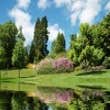 Photos by A1 Landscaping #1